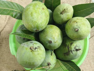 Fresh green mangoes with leaves arranged on burlap fabric, showcasing tropical fruit in a natural rustic setting.