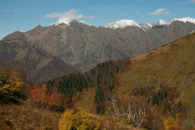 dağda sonbahar renkleri.