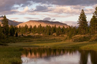 Tayga ve dağ su yansıması ile.