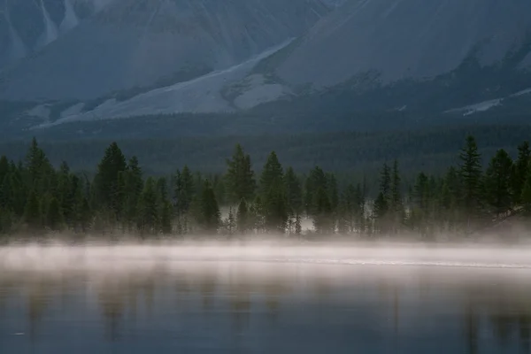 Nebel am Ufer eines Bergsees. — Stockfoto