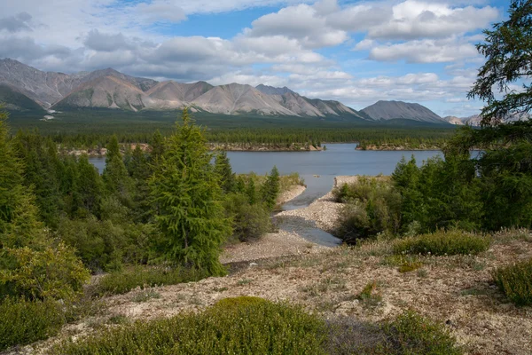 Lago en las montañas y taiga . — Foto de Stock