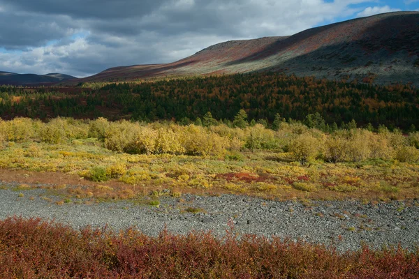 Élénk színek az ősz a hegyekben. — Stock Fotó