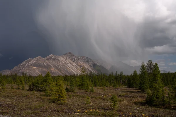 Pesante pioggia dalle nuvole in partenza per la montagna . — Foto Stock