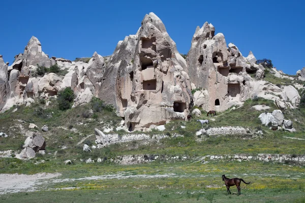 Atlar arka planda Rock aittir.