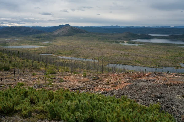 Numerous lakes in the valley. — Stock Photo, Image