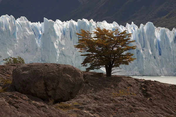 Perito Moreno. — Photo