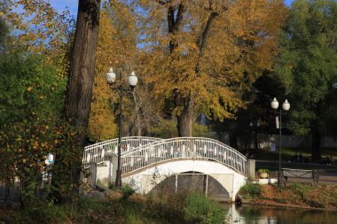 Gorki Parkı