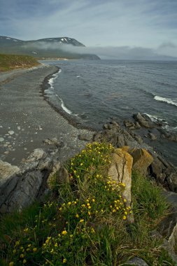 Ohotsk Denizi.