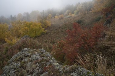 sonbahar Kafkasya'da.