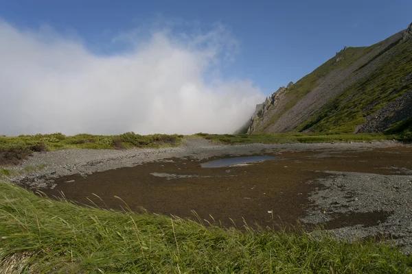 Coney Yarımadası, Cape Taran.