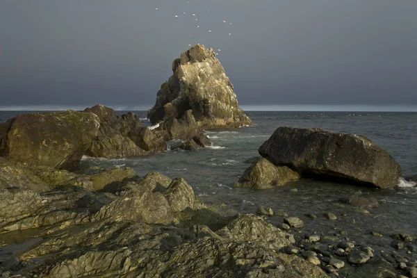 Coney Yarımadası, Cape Taran.