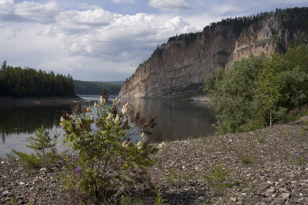 The Lena River. — Stock Photo, Image