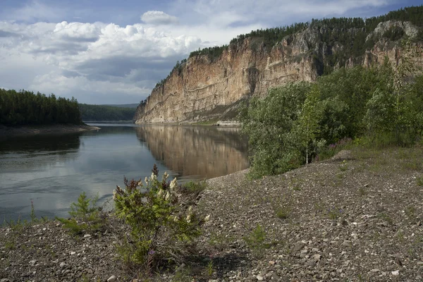 The Lena River. — Stock Photo, Image