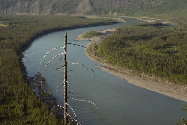 The river Indigirka. — Stock Photo, Image