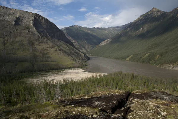 The river Indigirka. — Stock Photo, Image