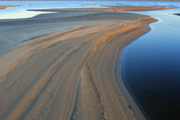 The Lena River. — Stock Photo, Image