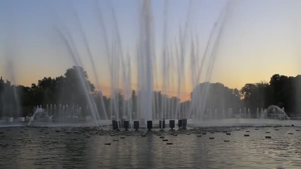 Fountain in Gorky Park. — Stock Video