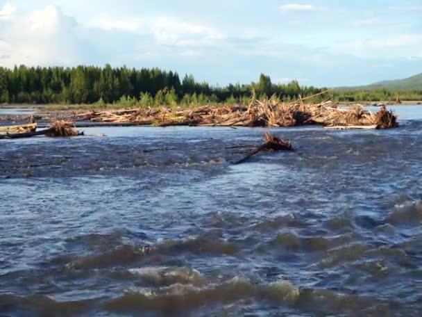 El movimiento del río . — Vídeos de Stock