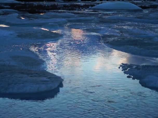 Big Moma Frost, Frühling, der Schrei der Gänse. — Stockvideo