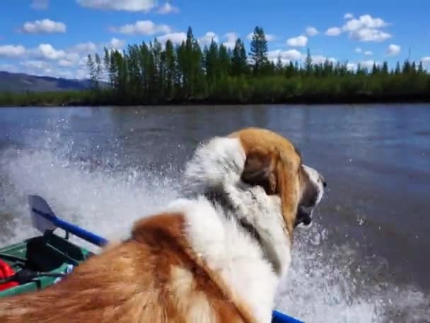 Viaje por el río . — Vídeos de Stock