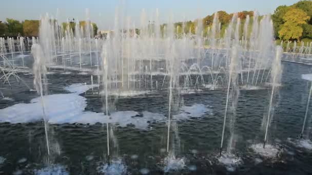 Fontaine dans le parc. — Video