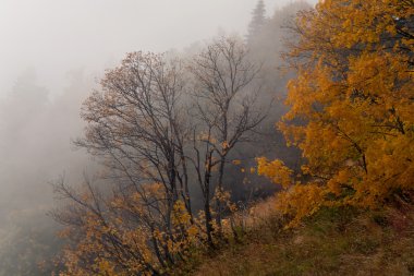 Sonbaharda Kafkas Dağları.