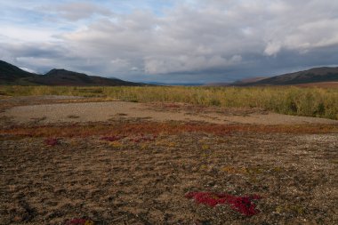 Sonbahar Tundra dağlarda.