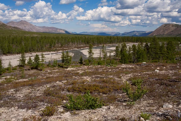 Trough valley of a mountain river. — Stock Photo, Image