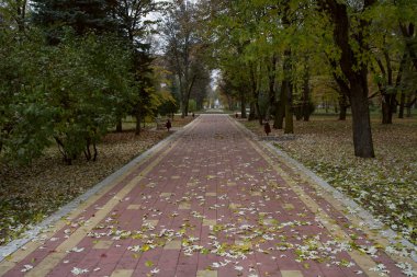 Sonbahar park Nalçik sokakta.