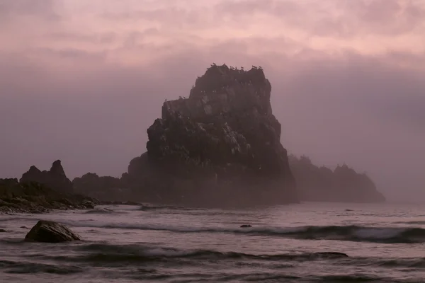 Roca en el Cabo en el mar . — Foto de Stock