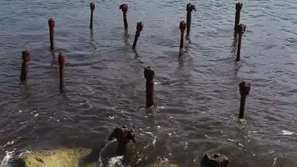 The skeleton of the old pier. — Stock Video