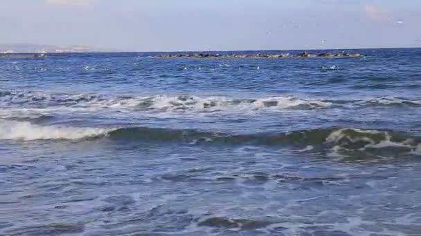 Zee surf en stranden, en een zwerm van meeuwen. — Stockvideo