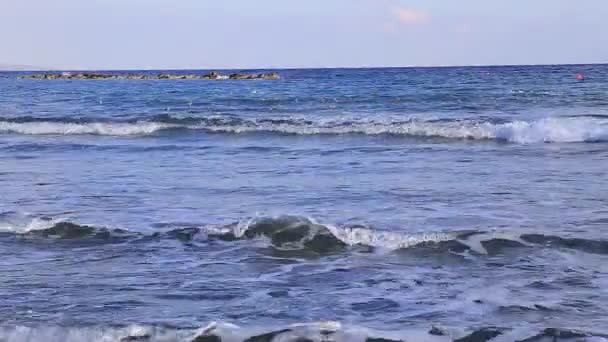 Surfer sur la mer et les plages, et un troupeau de mouettes .