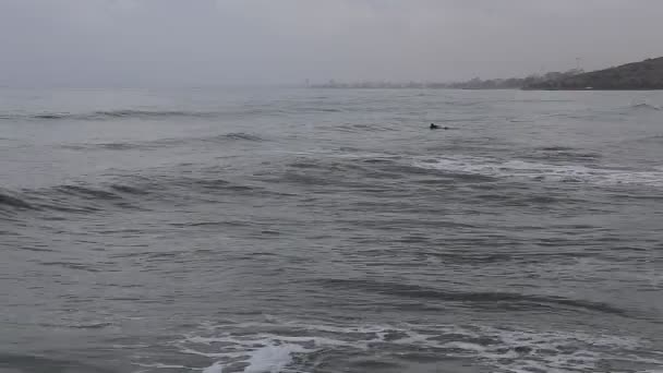 Storm op de zee en zwemmer in de golven. — Stockvideo