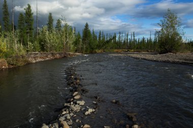 Tayga Nehri üzerinde kayalık rulo.