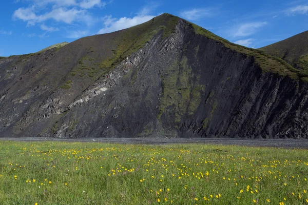 Glade con fiori gialli sullo sfondo di una scogliera di montagna . — Foto Stock