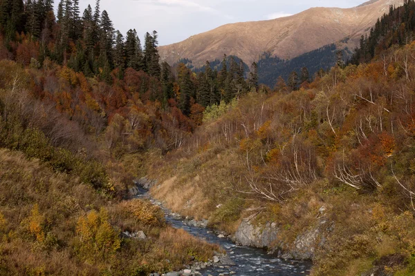 Kuzey Kafkasya dağlarında sonbahar.