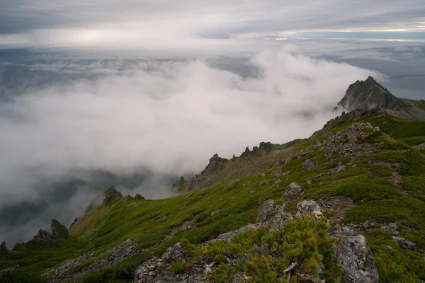 Rocce sul mare nella nebbia . — Foto Stock