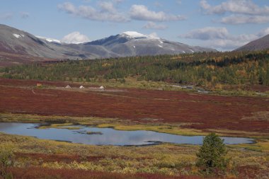 Göçebe kamp Ren geyiği çobanları ve araba.