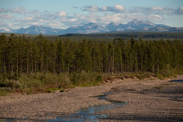 Vista dall'alto delle montagne e della taiga . — Foto Stock