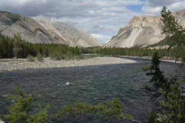Tayga nehir dağlarda.