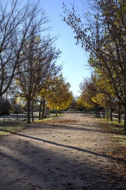 Melankoli Galapagar sonbahar manzaraları