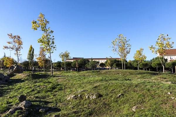 Parque del toril en galapagar Imagem De Stock