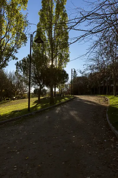 Серед дерев Galapagar — стокове фото