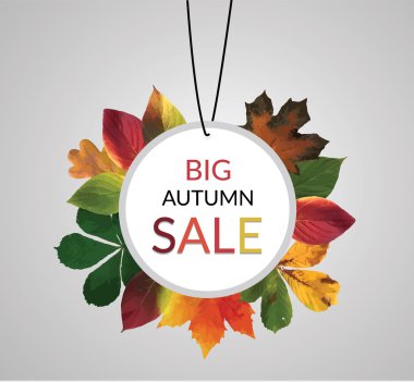 Güzel renkli yaprakları. Büyük sonbahar satış. Vektör