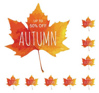 Güzel sonbahar yaprak. Satılık. Kolay renkleri değiştirmek.