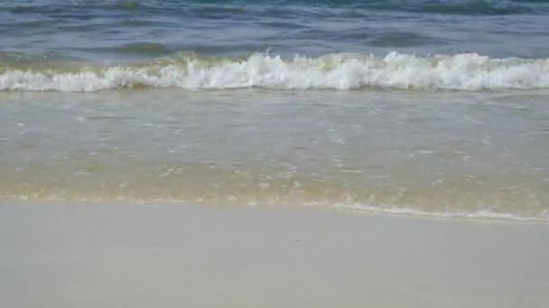 Primo Piano Della Spiaggia Con Onda Marina Soffia Verso Spiaggia — Video Stock