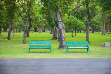 Parkın altındaki ağaçların altında iki yeşil bank insanların seyahat ederken, egzersiz yaparken ve diğerleri parktayken rahatlayabilmeleri için.