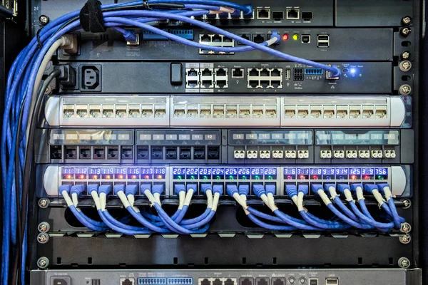 Zpět Port Serverového Racku Modrého Kabelu Připojeného Lan Portu Pro — Stock fotografie