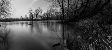 Ağaçları ile sular altında Nehri